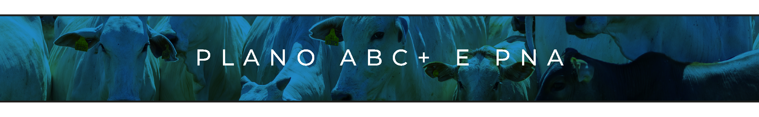 05_11 - Aviso de Pauta Plano ABC-01.png